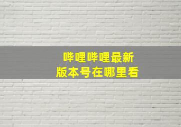 哔哩哔哩最新版本号在哪里看