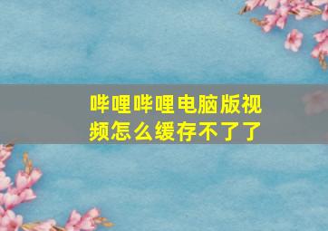 哔哩哔哩电脑版视频怎么缓存不了了