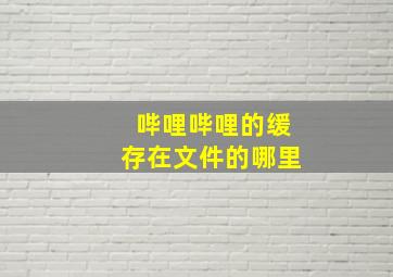 哔哩哔哩的缓存在文件的哪里