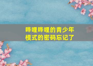 哔哩哔哩的青少年模式的密码忘记了