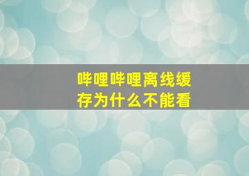 哔哩哔哩离线缓存为什么不能看