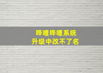 哔哩哔哩系统升级中改不了名