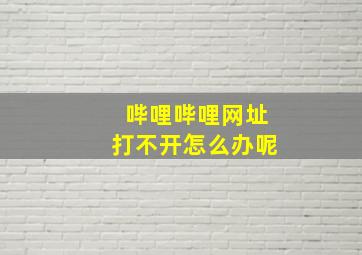 哔哩哔哩网址打不开怎么办呢