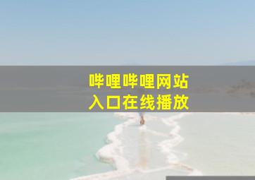 哔哩哔哩网站入口在线播放