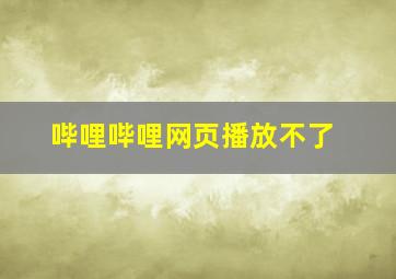 哔哩哔哩网页播放不了