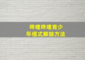 哔哩哔哩青少年模式解除方法