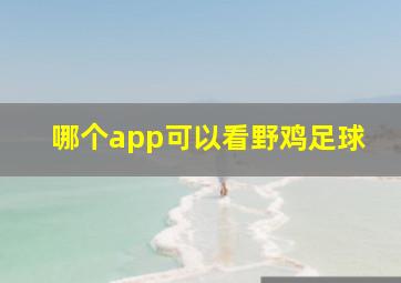 哪个app可以看野鸡足球