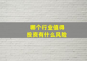 哪个行业值得投资有什么风险