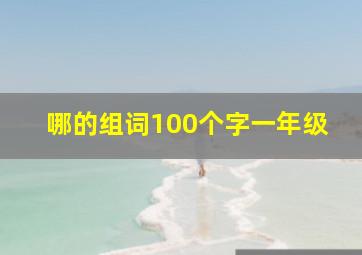 哪的组词100个字一年级