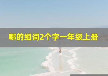 哪的组词2个字一年级上册