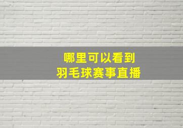 哪里可以看到羽毛球赛事直播