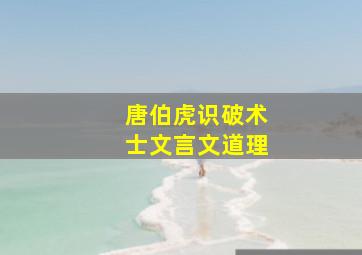 唐伯虎识破术士文言文道理