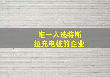 唯一入选特斯拉充电桩的企业