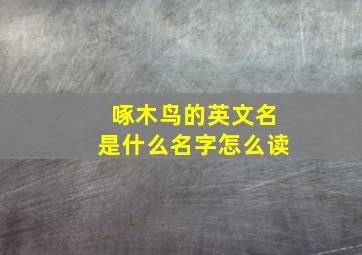 啄木鸟的英文名是什么名字怎么读