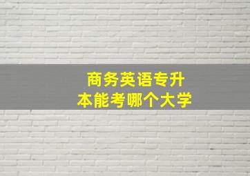 商务英语专升本能考哪个大学