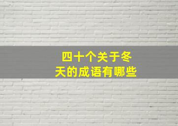 四十个关于冬天的成语有哪些