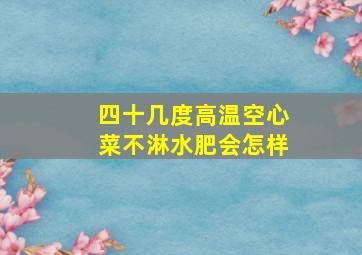 四十几度高温空心菜不淋水肥会怎样