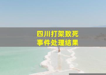 四川打架致死事件处理结果