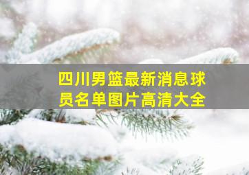 四川男篮最新消息球员名单图片高清大全