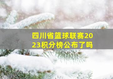 四川省篮球联赛2023积分榜公布了吗