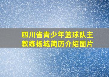 四川省青少年篮球队主教练杨城简历介绍图片