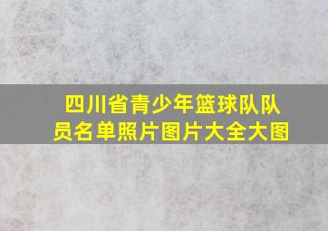 四川省青少年篮球队队员名单照片图片大全大图