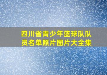 四川省青少年篮球队队员名单照片图片大全集