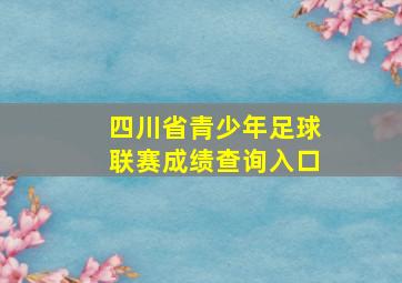 四川省青少年足球联赛成绩查询入口