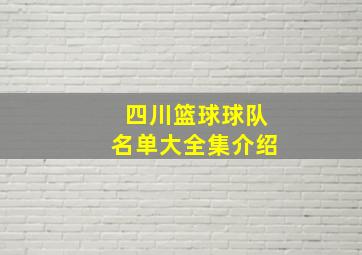 四川篮球球队名单大全集介绍