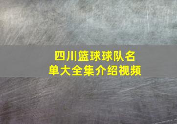 四川篮球球队名单大全集介绍视频