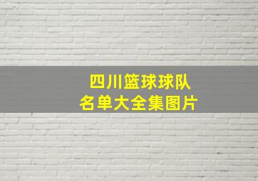 四川篮球球队名单大全集图片