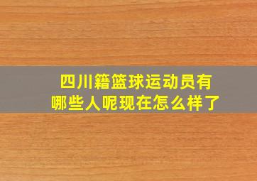 四川籍篮球运动员有哪些人呢现在怎么样了