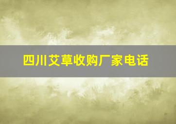 四川艾草收购厂家电话