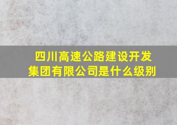 四川高速公路建设开发集团有限公司是什么级别