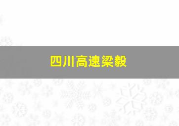 四川高速梁毅