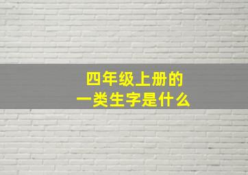 四年级上册的一类生字是什么