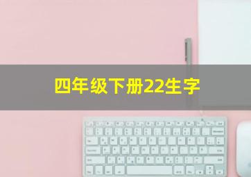 四年级下册22生字