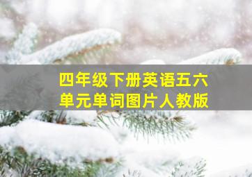 四年级下册英语五六单元单词图片人教版