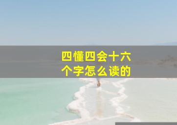 四懂四会十六个字怎么读的