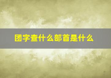 团字查什么部首是什么