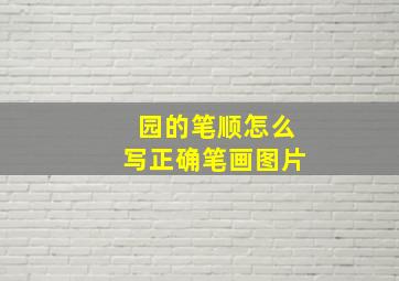 园的笔顺怎么写正确笔画图片