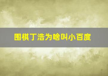 围棋丁浩为啥叫小百度