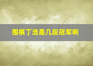 围棋丁浩是几段冠军啊