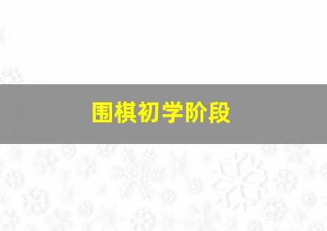 围棋初学阶段