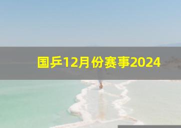 国乒12月份赛事2024