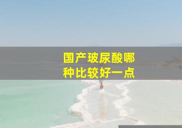 国产玻尿酸哪种比较好一点