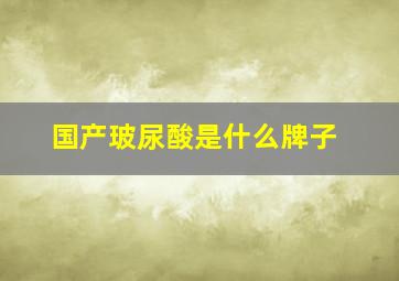 国产玻尿酸是什么牌子