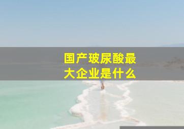 国产玻尿酸最大企业是什么