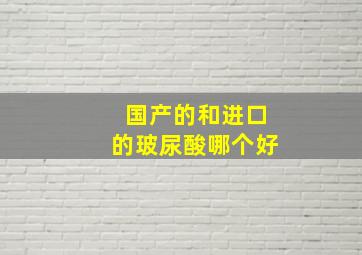 国产的和进口的玻尿酸哪个好