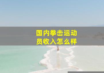 国内拳击运动员收入怎么样